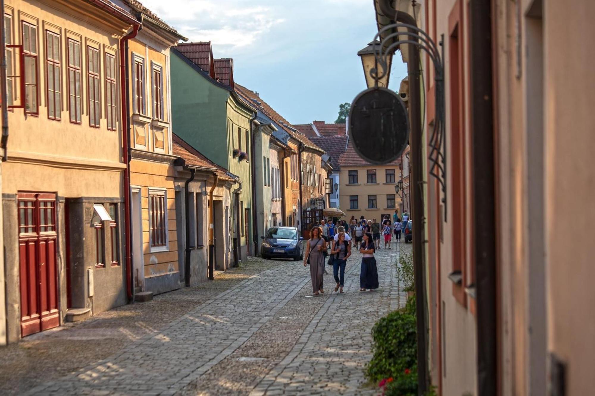 V Trebici Apartmán Třebíč